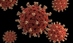 Coltivirus