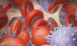 Mycoplasma